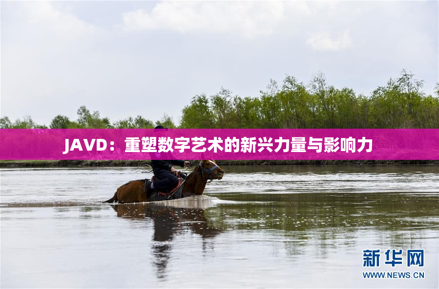 JAVD：重塑数字艺术的新兴力量与影响力