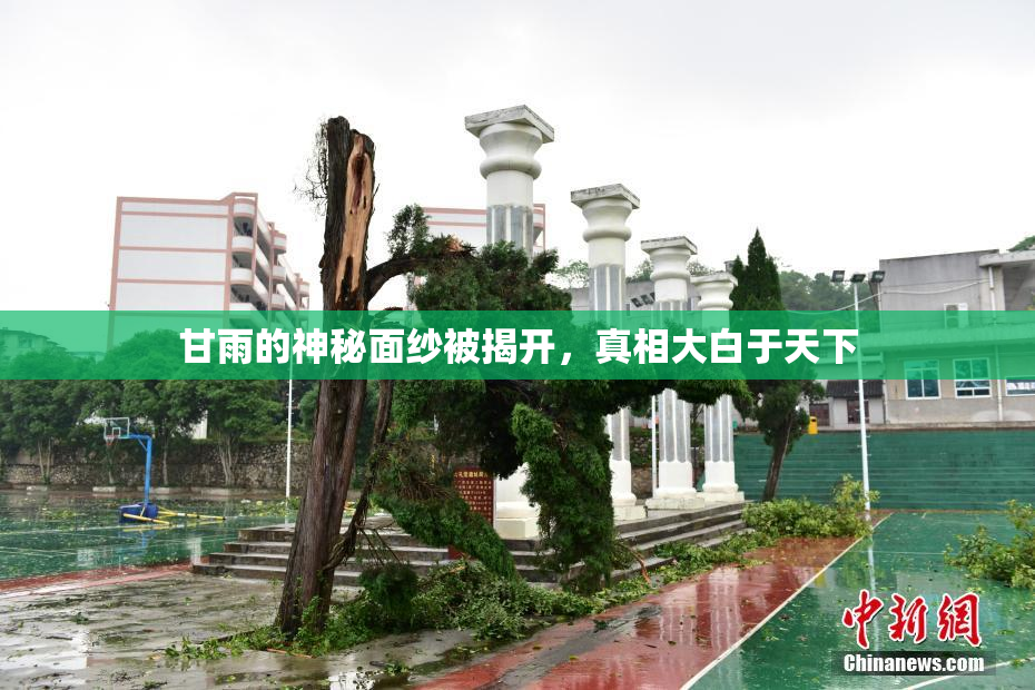 甘雨的神秘面纱被揭开，真相大白于天下