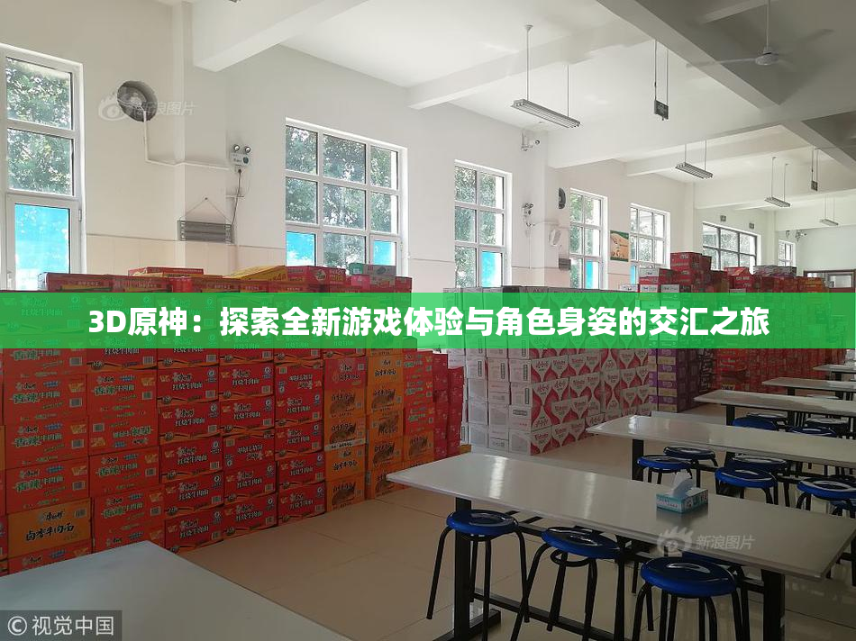 3D原神：探索全新游戏体验与角色身姿的交汇之旅