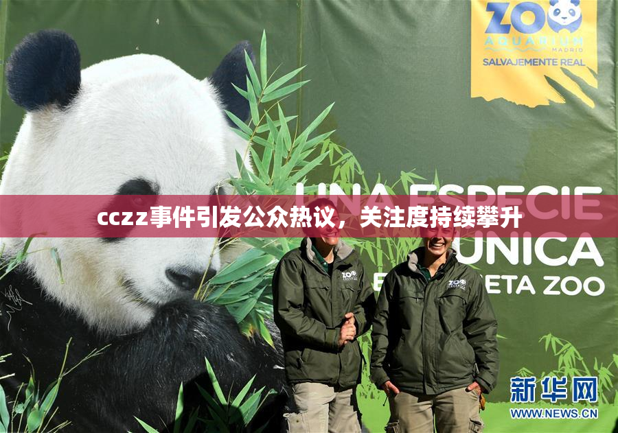 cczz事件引发公众热议，关注度持续攀升