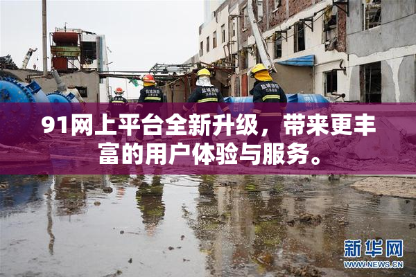 91网上平台全新升级，带来更丰富的用户体验与服务。