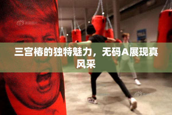 三宫椿的独特魅力，无码A展现真风采