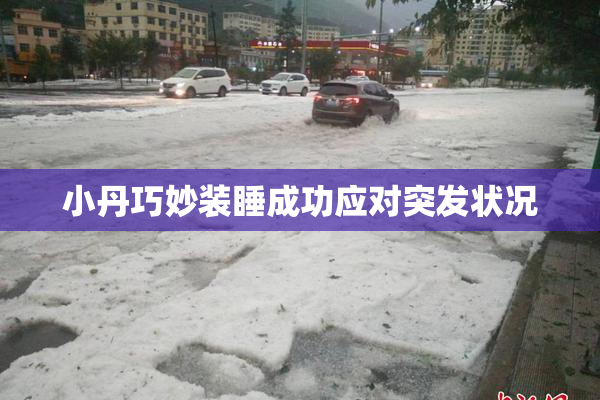 小丹巧妙装睡成功应对突发状况