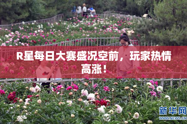 R星每日大赛盛况空前，玩家热情高涨！