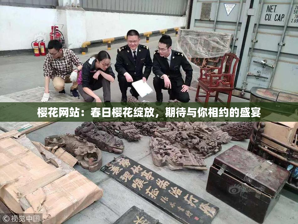 樱花网站：春日樱花绽放，期待与你相约的盛宴