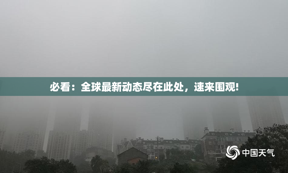 必看：全球最新动态尽在此处，速来围观!