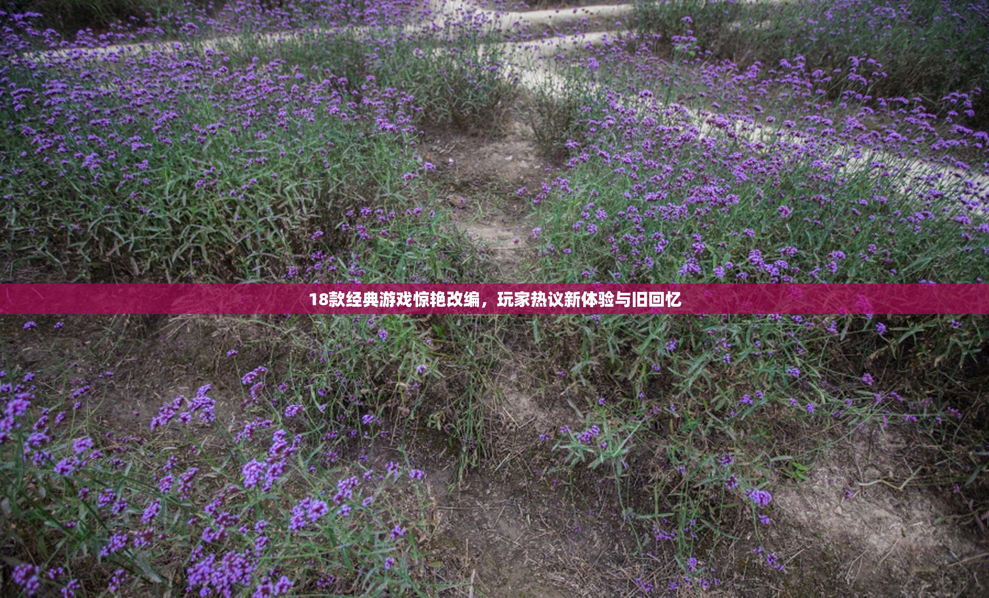 18款经典游戏惊艳改编，玩家热议新体验与旧回忆