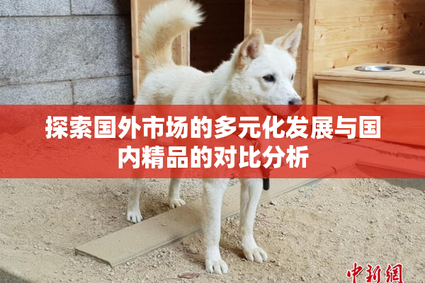 探索国外市场的多元化发展与国内精品的对比分析