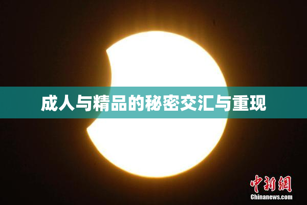 成人与精品的秘密交汇与重现