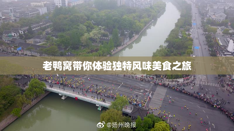 老鸭窝带你体验独特风味美食之旅