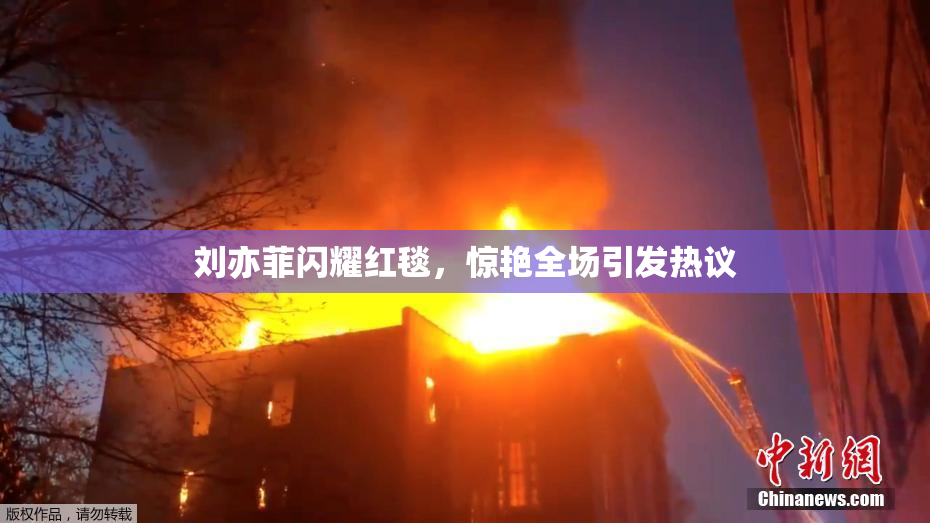 刘亦菲闪耀红毯，惊艳全场引发热议