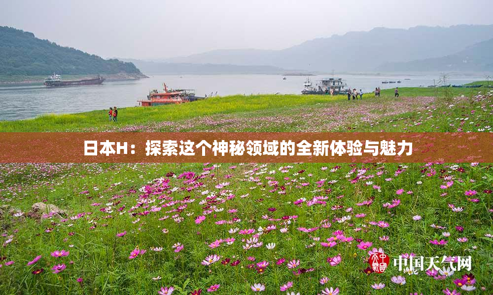日本H：探索这个神秘领域的全新体验与魅力