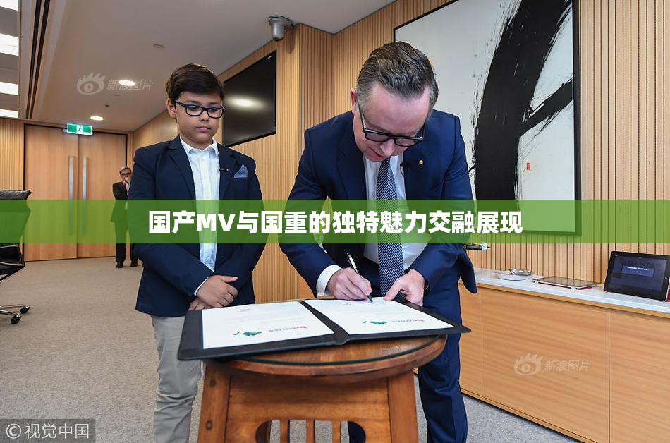 国产MV与国重的独特魅力交融展现