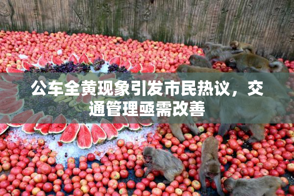公车全黄现象引发市民热议，交通管理亟需改善
