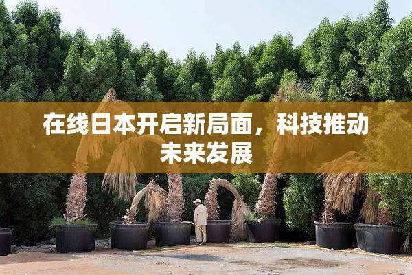 在线日本开启新局面，科技推动未来发展