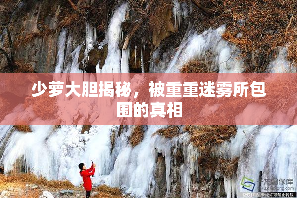 少萝大胆揭秘，被重重迷雾所包围的真相