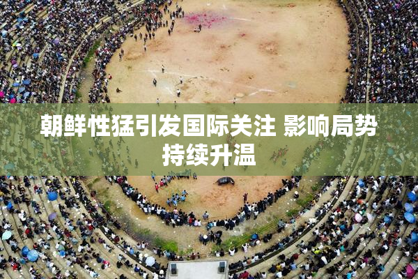 朝鲜性猛引发国际关注 影响局势持续升温