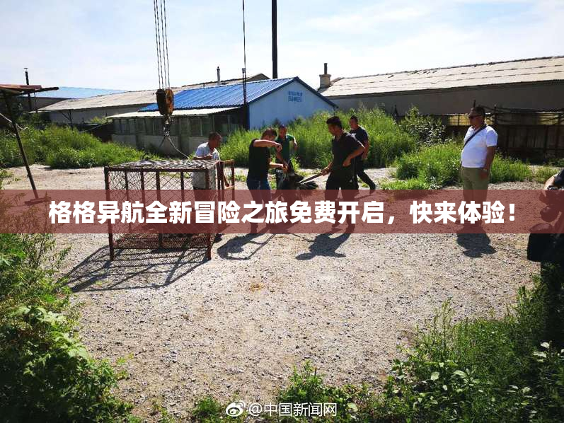 格格异航全新冒险之旅免费开启，快来体验！