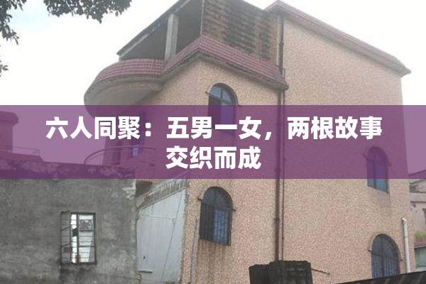 六人同聚：五男一女，两根故事交织而成