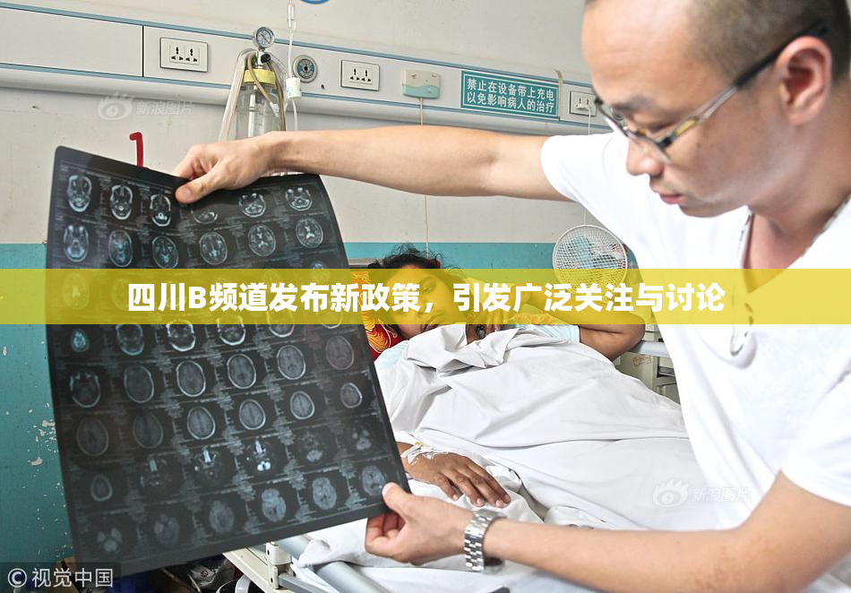 四川B频道发布新政策，引发广泛关注与讨论