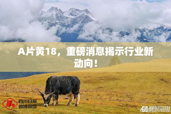 A片黄18，重磅消息揭示行业新动向！