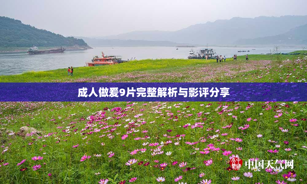 成人做爰9片完整解析与影评分享