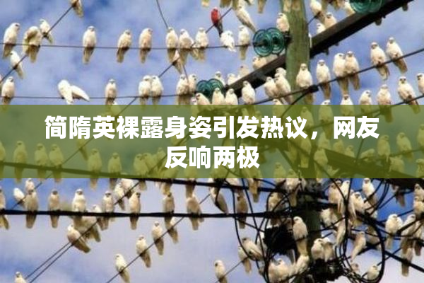 简隋英裸露身姿引发热议，网友反响两极