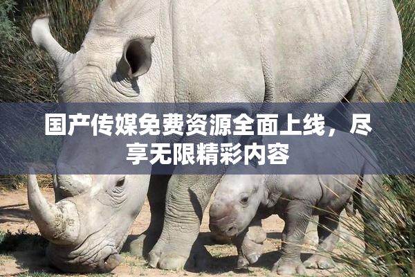 国产传媒免费资源全面上线，尽享无限精彩内容