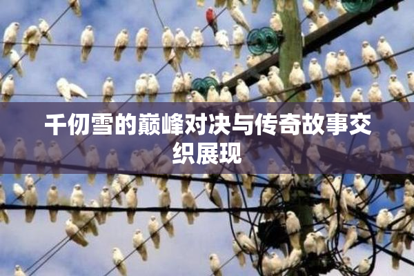 千仞雪的巅峰对决与传奇故事交织展现