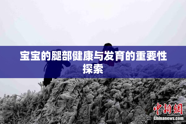 宝宝的腿部健康与发育的重要性探索