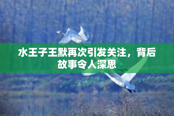 水王子王默再次引发关注，背后故事令人深思