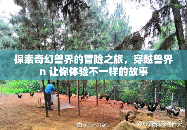 探索奇幻兽界的冒险之旅，穿越兽界n 让你体验不一样的故事
