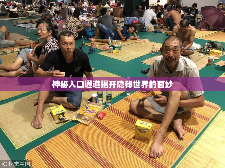 神秘入口通道揭开隐秘世界的面纱