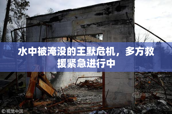 水中被淹没的王默危机，多方救援紧急进行中