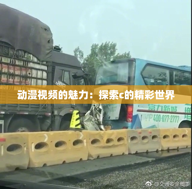 动漫视频的魅力：探索c的精彩世界