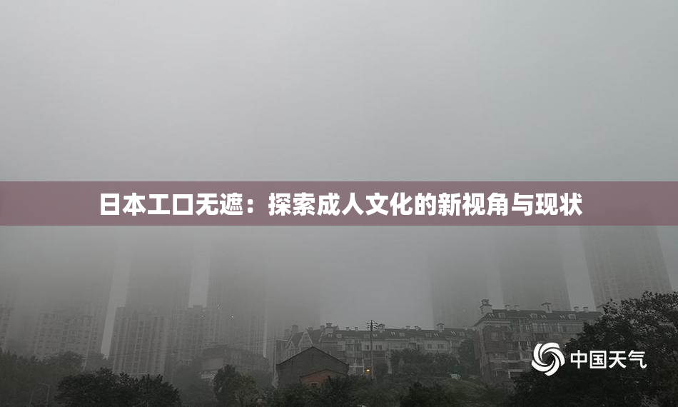 日本工口无遮：探索成人文化的新视角与现状