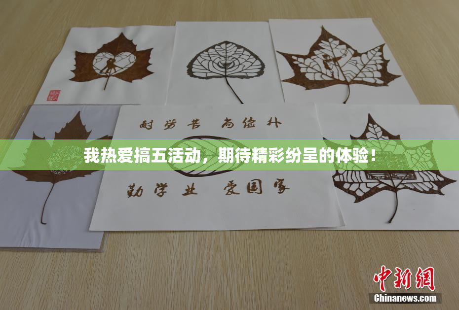 我热爱搞五活动，期待精彩纷呈的体验！