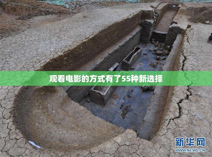 观看电影的方式有了55种新选择