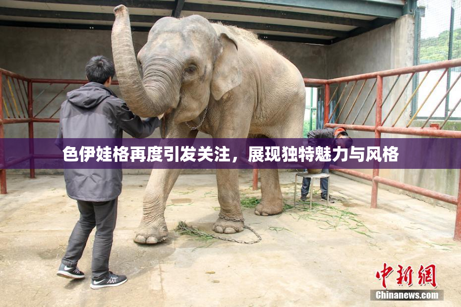 色伊娃格再度引发关注，展现独特魅力与风格