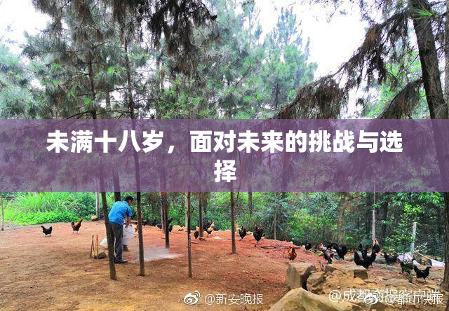 未满十八岁，面对未来的挑战与选择