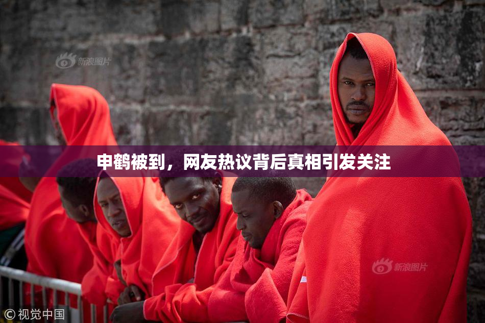 申鹤被到，网友热议背后真相引发关注