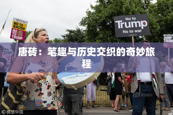 唐砖：笔趣与历史交织的奇妙旅程