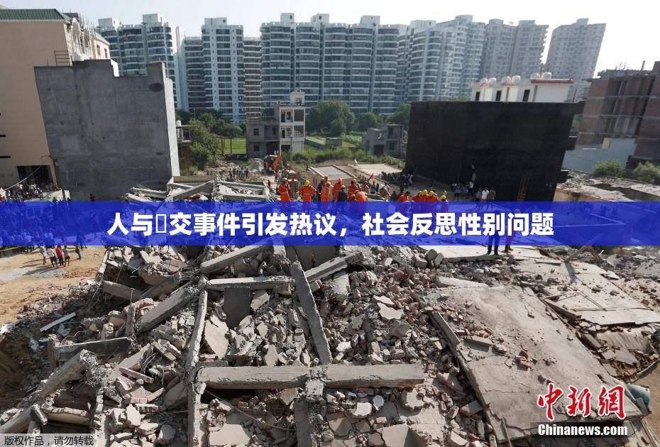 人与嘼交事件引发热议，社会反思性别问题