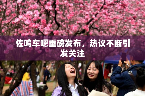佐鸣车嗯重磅发布，热议不断引发关注