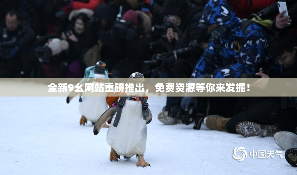 全新9幺网站重磅推出，免费资源等你来发掘！