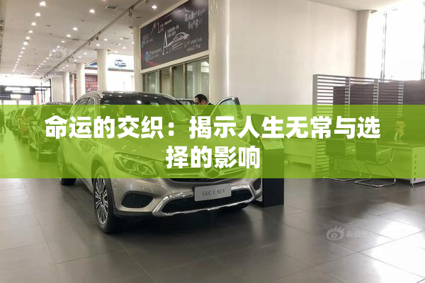 命运的交织：揭示人生无常与选择的影响