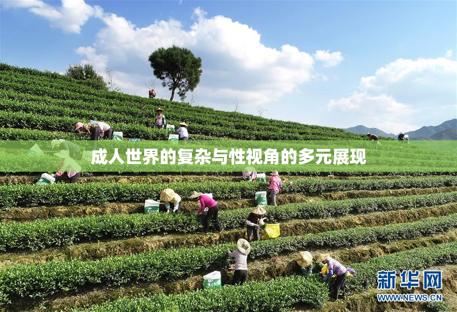 成人世界的复杂与性视角的多元展现