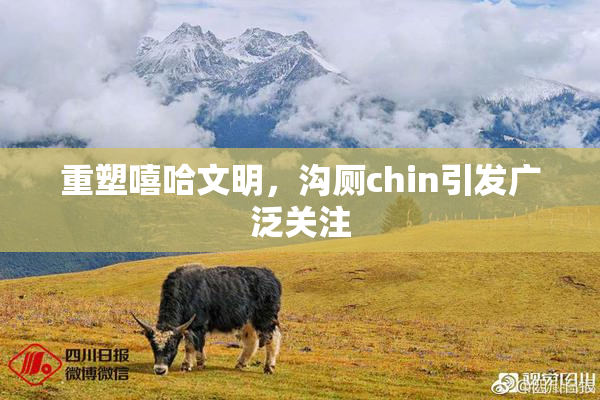 重塑嘻哈文明，沟厕chin引发广泛关注