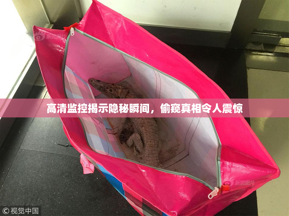 高清监控揭示隐秘瞬间，偷窥真相令人震惊