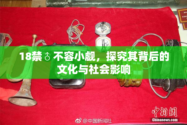 18禁♂不容小觑，探究其背后的文化与社会影响